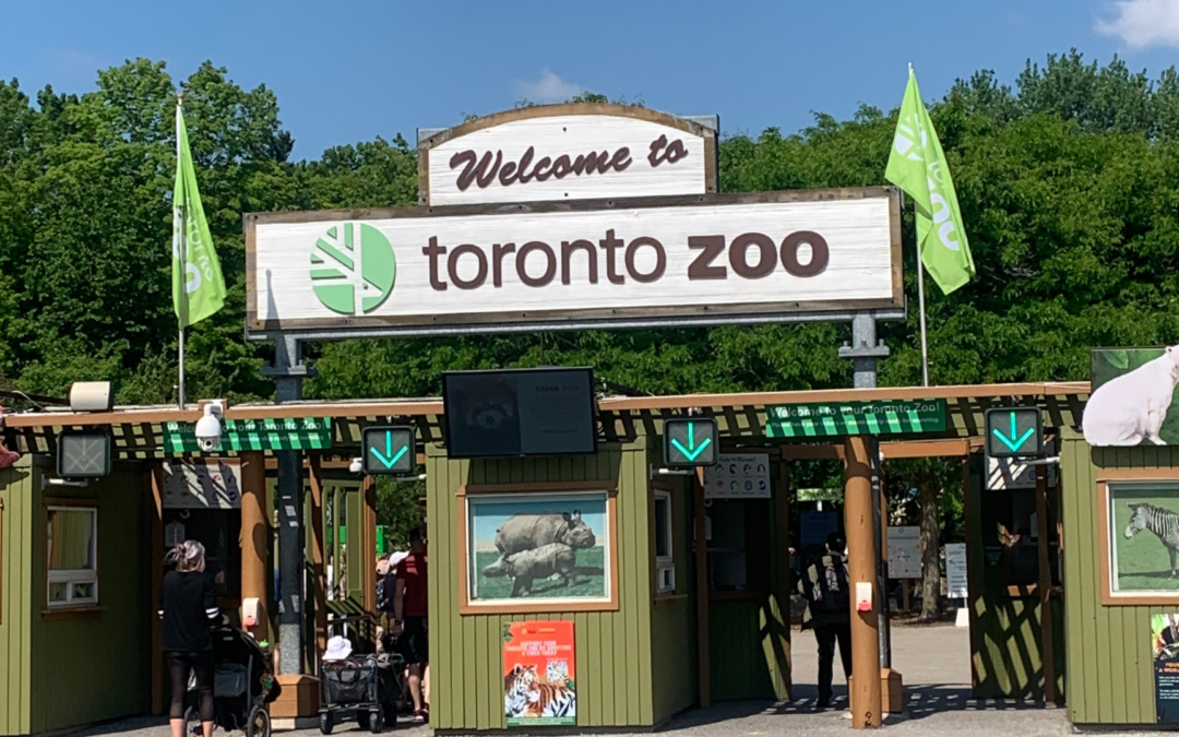 Field Trip to Toronto Zoo